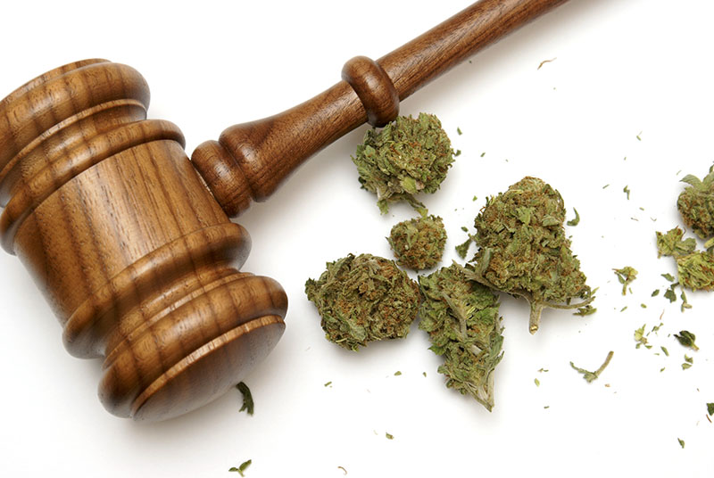 parent_marijuana_child_custody