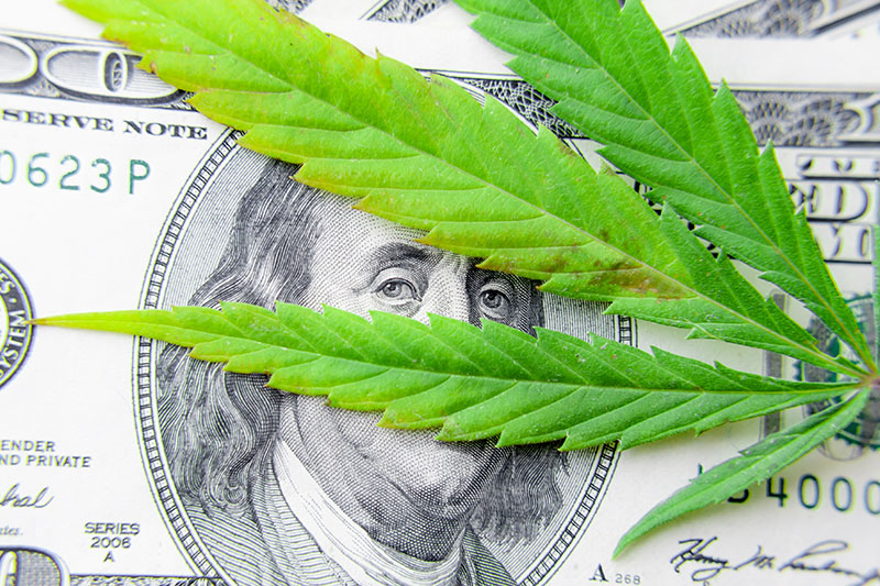 legal-issues-marijuana-industry