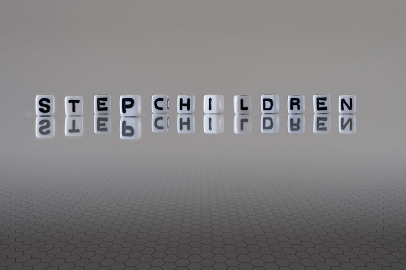 include-stepchild-will