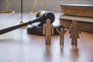 Michigan divorce lawyer